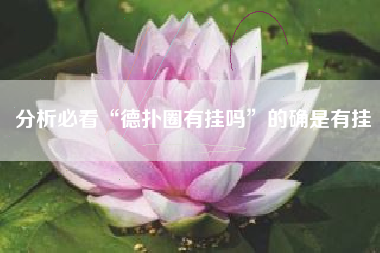 分析必看“德扑圈有挂吗”的确是有挂