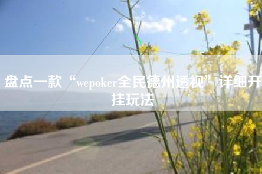 盘点一款“wepoker全民德州透视”详细开挂玩法
