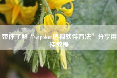 带你了解“wepoker透视软件方法”分享用挂教程