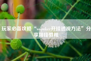 玩家必备攻略“wepoker开挂透视方法”分享用挂教程