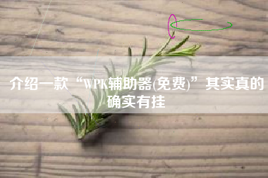 介绍一款“WPK辅助器(免费)”其实真的确实有挂