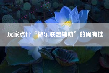 玩家点评“微乐联盟辅助”的确有挂
