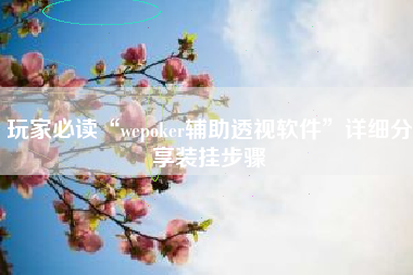 玩家必读“wepoker辅助透视软件”详细分享装挂步骤