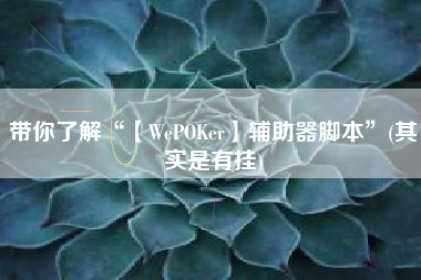 带你了解“【WePOKer】辅助器脚本”(其实是有挂) 带你了解“【WePOKer】辅助器脚本”(其实是有挂)