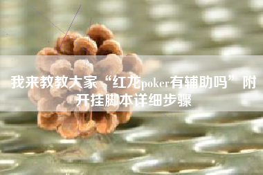 我来教教大家“红龙poker有辅助吗”附开挂脚本详细步骤