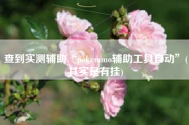 查到实测辅助“pokemmo辅助工具自动”(其实是有挂) 查到实测辅助“pokemmo辅助工具自动”(其实是有挂)