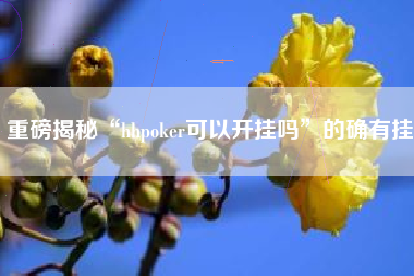 重磅揭秘“hhpoker可以开挂吗”的确有挂