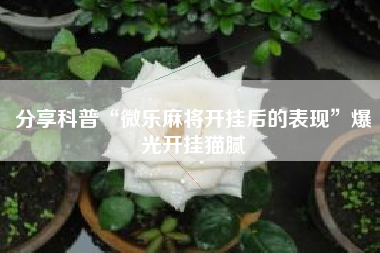 分享科普“微乐麻将开挂后的表现”爆光开挂猫腻