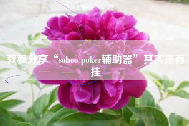 教程分享“sohoo poker辅助器”其实是有挂