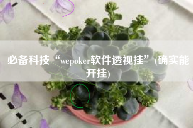 必备科技“wepoker软件透视挂”(确实能开挂)