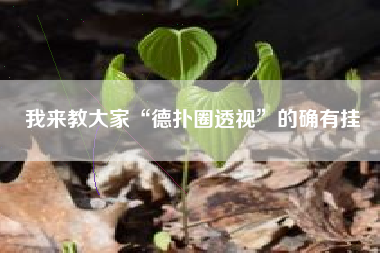 我来教大家“德扑圈透视”的确有挂