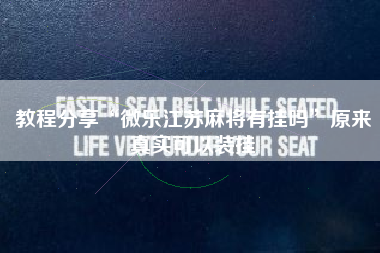 教程分享“微乐江苏麻将有挂吗”原来真实可以装挂