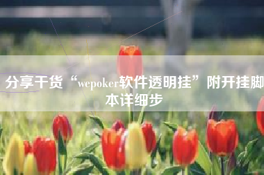 分享干货“wepoker软件透明挂”附开挂脚本详细步