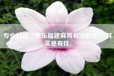 专业讨论“微乐福建麻将有没有挂”(其实是有挂) 专业讨论“微乐福建麻将有没有挂”(其实是有挂)