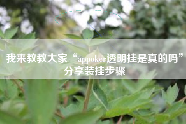 我来教教大家“appoker透明挂是真的吗”分享装挂步骤