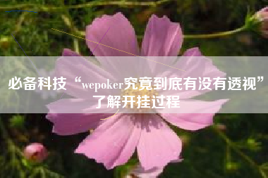 必备科技“wepoker究竟到底有没有透视”了解开挂过程