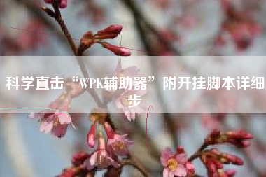 科学直击“WPK辅助器”附开挂脚本详细步 科学直击“WPK辅助器”附开挂脚本详细步