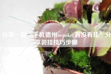 分享一款“手机德州wepoker有没有挂”分享装挂技巧步骤