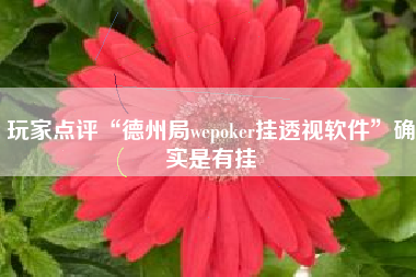 玩家点评“德州局wepoker挂透视软件”确实是有挂