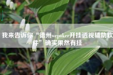 我来告诉你“德州wepoker开挂透视辅助软件”确实果然有挂 我来告诉你“德州wepoker开挂透视辅助软件”确实果然有挂