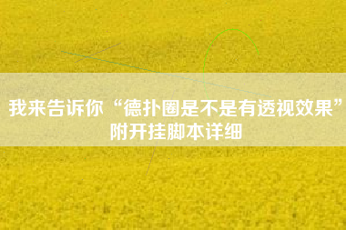 我来告诉你“德扑圈是不是有透视效果”附开挂脚本详细