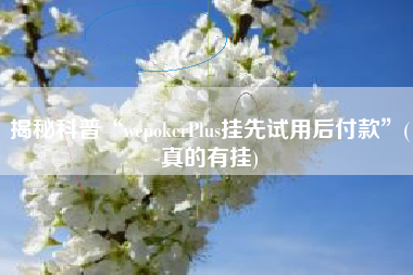 揭秘科普“wepokerPlus挂先试用后付款”(真的有挂)