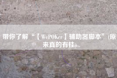 带你了解“【WePOKer】辅助器脚本”(原来真的有挂)