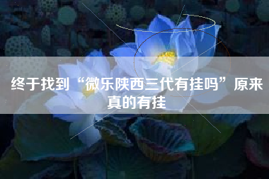 终于找到“微乐陕西三代有挂吗”原来真的有挂