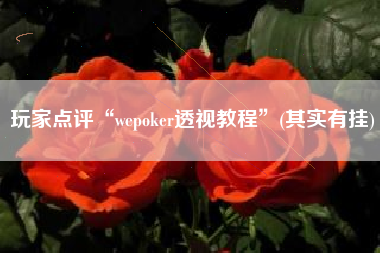 玩家点评“wepoker透视教程”(其实有挂)