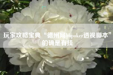 玩家攻略宝典“德州局hhpoker透视脚本”的确是有挂
