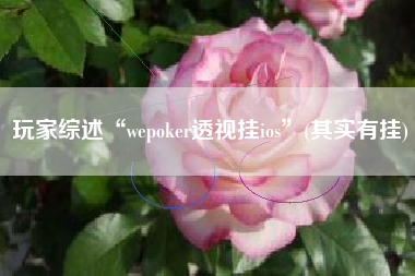 玩家综述“wepoker透视挂ios”(其实有挂)