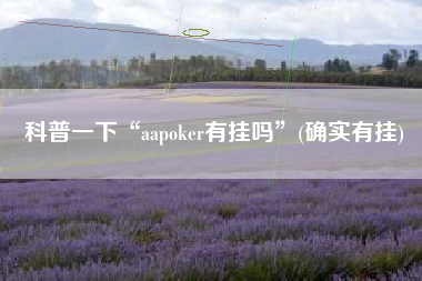 科普一下“aapoker有挂吗”(确实有挂)