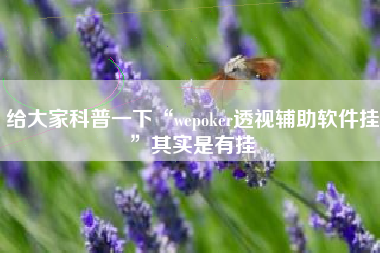 给大家科普一下“wepoker透视辅助软件挂”其实是有挂 给大家科普一下“wepoker透视辅助软件挂”其实是有挂