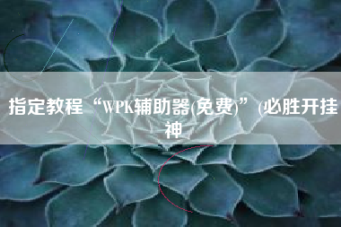 指定教程“WPK辅助器(免费)”(必胜开挂神