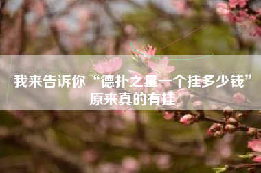 我来告诉你“德扑之星一个挂多少钱”原来真的有挂