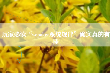 玩家必读“wepoker系统规律”确实真的有挂 玩家必读“wepoker系统规律”确实真的有挂