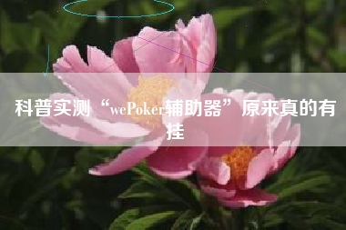 科普实测“wePoker辅助器”原来真的有挂 科普实测“wePoker辅助器”原来真的有挂