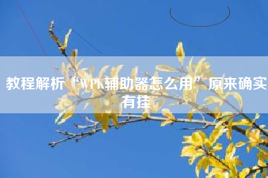 教程解析“WPK辅助器怎么用”原来确实有挂 教程解析“WPK辅助器怎么用”原来确实有挂