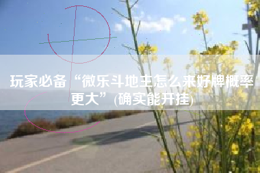 玩家必备“微乐斗地主怎么来好牌概率更大”(确实能开挂) 玩家必备“微乐斗地主怎么来好牌概率更大”(确实能开挂)