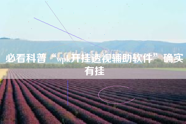 必看科普“wpk开挂透视辅助软件”确实有挂
