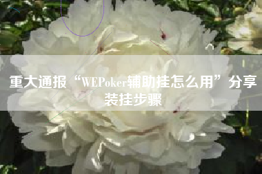 重大通报“WEPoker辅助挂怎么用”分享装挂步骤