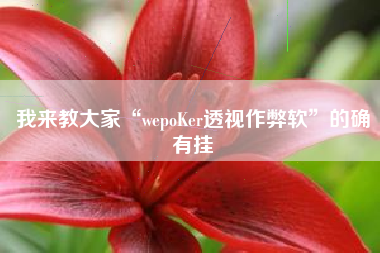 我来教大家“wepoKer透视作弊软”的确有挂 我来教大家“wepoKer透视作弊软”的确有挂