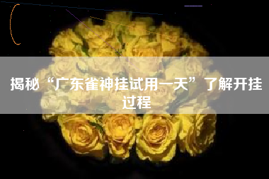 揭秘“广东雀神挂试用一天”了解开挂过程