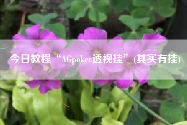 今日教程“AGpoker透视挂”(其实有挂)