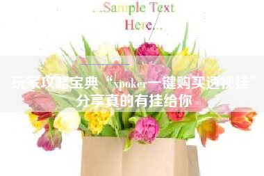 玩家攻略宝典“xpoker一键购买透视挂”分享真的有挂给你