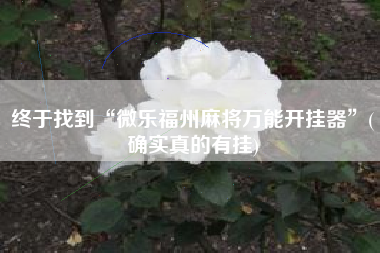终于找到“微乐福州麻将万能开挂器”(确实真的有挂)