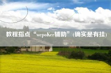 教程指点“wepoKer辅助”(确实是有挂)