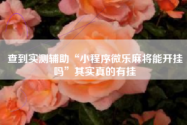 查到实测辅助“小程序微乐麻将能开挂吗”其实真的有挂 查到实测辅助“小程序微乐麻将能开挂吗”其实真的有挂