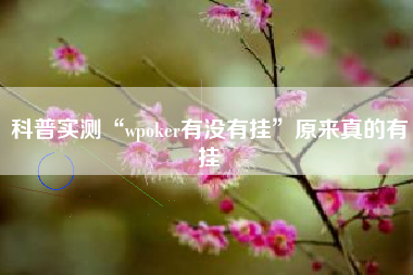 科普实测“wpoker有没有挂”原来真的有挂