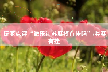 玩家点评“微乐江苏麻将有挂吗”(其实有挂)